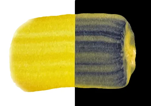 Product image 100